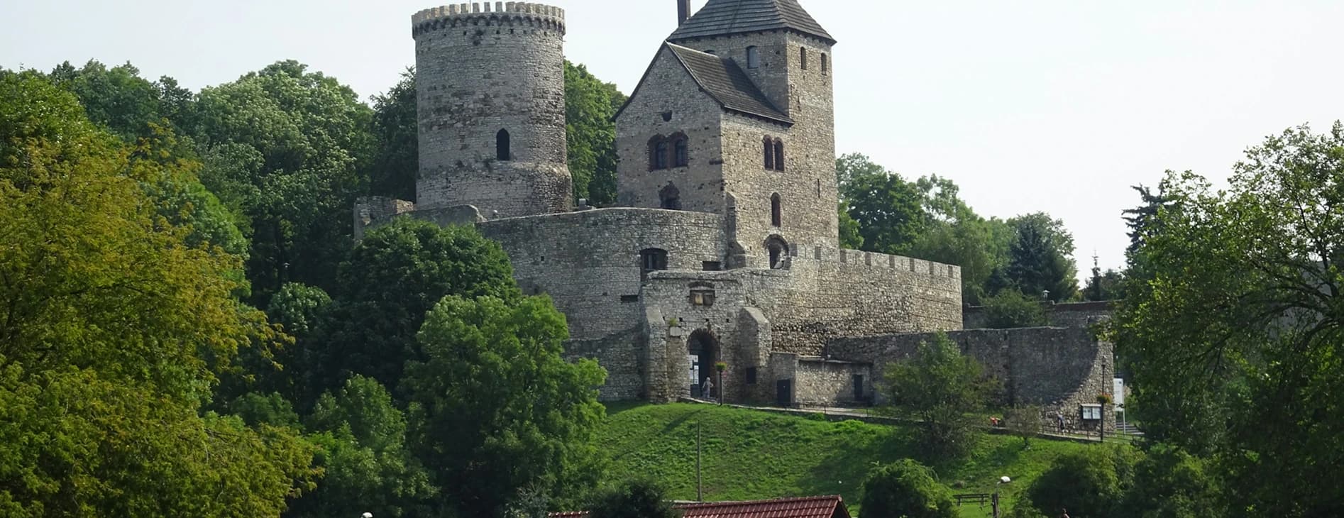 Kamienny zamek z wieżą wznoszący się wśród bujnych, zielonych drzew.