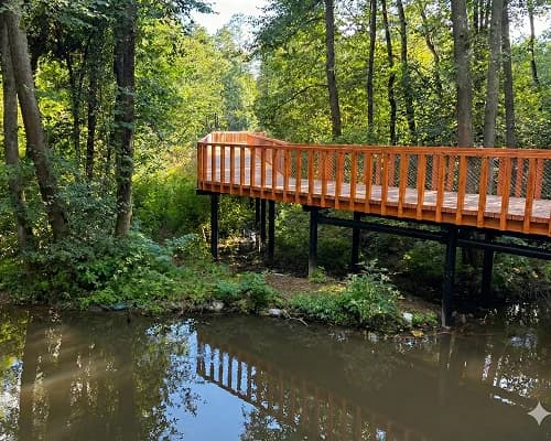 Pomost nad rzeką w lesie
