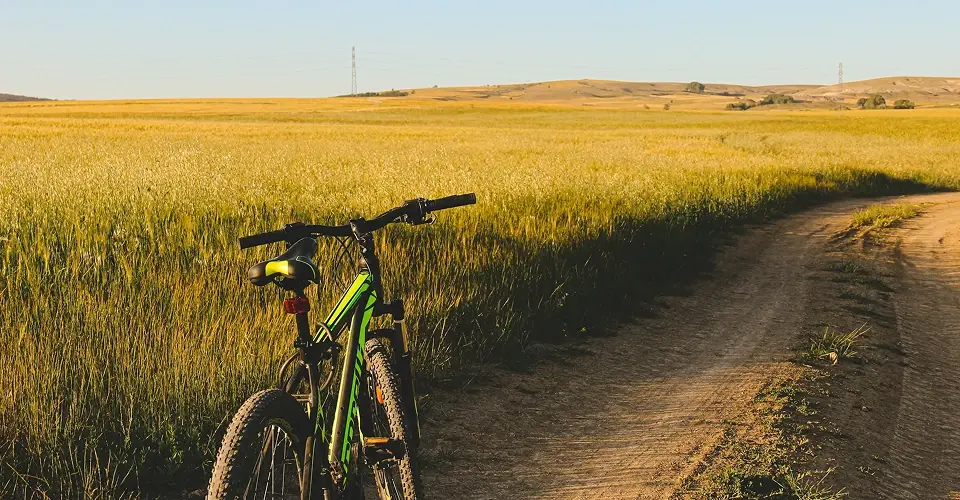 Zdjęcie przedstawiające rower postawiony na polnej drodze z widokiem na pole zboża w pobliżu jurt