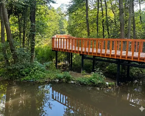 Pomost nad rzeką w lesie
