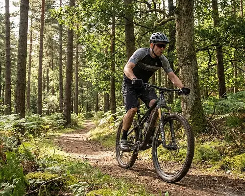 Rowerzysta na leśnej ścieżce niedaleko Golczowic - typowy fragment trasy jurajskiej.